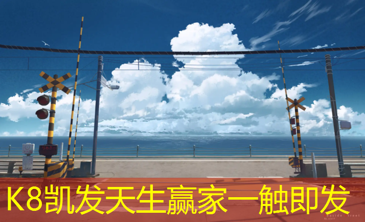 K8凯发：内蒙自结纹型塑胶跑道