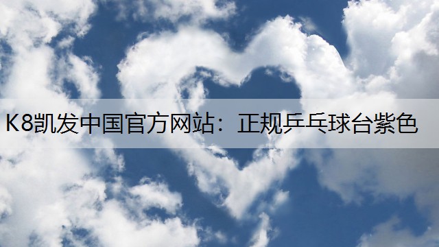 正规乒乓球台紫色 正规乒乓球台紫色