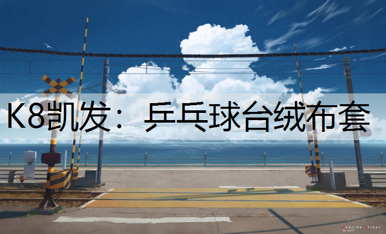 乒乓球台绒布套 乒乓球台绒布套